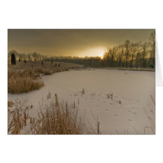 Gorman Winter-Sonnenaufgang