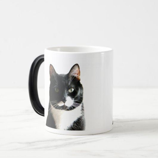 Görn-Katzestare-verwandelnde Tasse (Vorderseite Links)