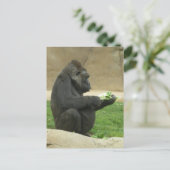 Gorrilla Postcard Postkarte (Stehend Vorderseite)