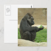 Gorrilla Postcard Postkarte (Vorne/Hinten)