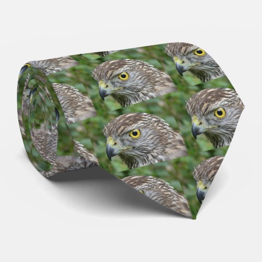 goshawa krawatte (Gerollt)