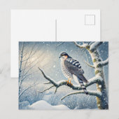 Goshawk auf Birch im Winter Feiertagspostkarte (Vorne/Hinten)