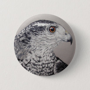 Goshawk Button
