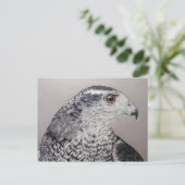 Goshawk Postcard Postkarte (Stehend Vorderseite)
