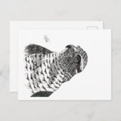 GOSHAWK POSTKARTE (Vorne/Hinten)