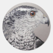 Goshawk Stickers (Vorderseite)