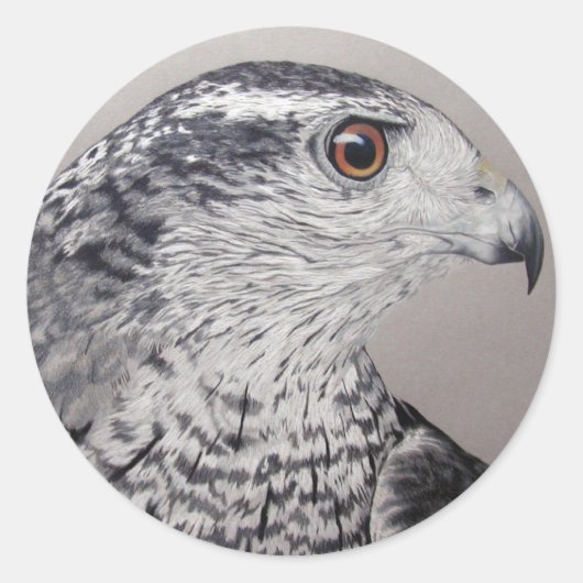 Goshawk Stickers (Vorderseite)