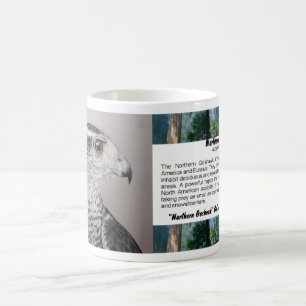 Goshawk-Tasse Kaffeetasse
