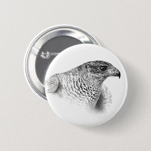 Goshawk Zeichnend Button (Vorne & Hinten)
