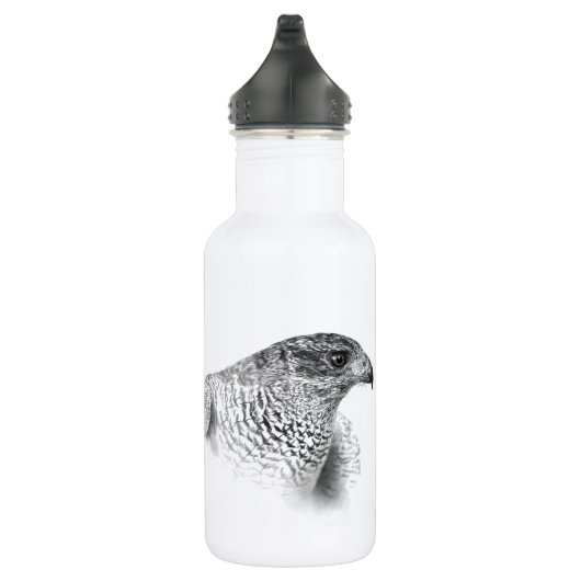 Goshawk Zeichnend Edelstahlflasche (Rechts)