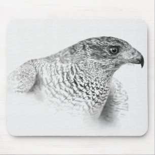 Goshawk Zeichnend Mousepad