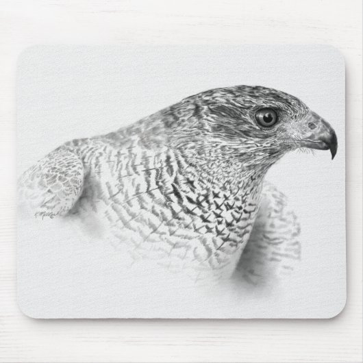 Goshawk Zeichnend Mousepad (Vorne)