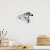Goshawk Zeichnend Poster (Küche)