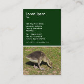 Gosling - Dunkelgrün Visitenkarte (Rückseite)