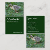 Gosling - Dunkelgrün Visitenkarte (Vorne/Hinten)