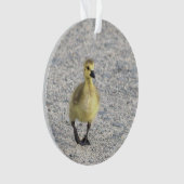 Gosling Foto Ornament (Vorderseite)