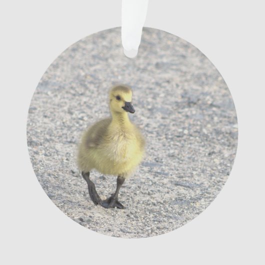 Gosling Foto Ornament (Vorderseite)
