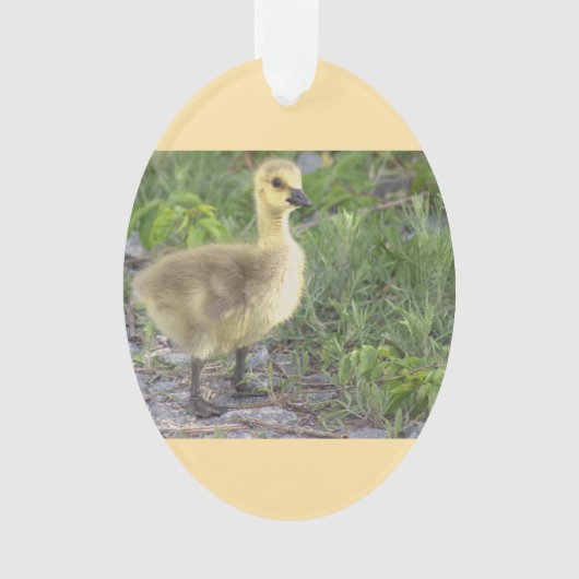 Gosling Foto Ornament (Vorderseite)