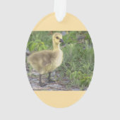 Gosling Foto Ornament (Rückseite)