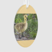 Gosling Foto Ornament (Vorderseite)