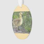 Gosling Foto Ornament (Vorderseite)