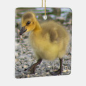 Gosling Foto Ornament (Rechts)