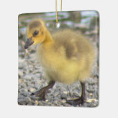 Gosling Foto Ornament (Links)