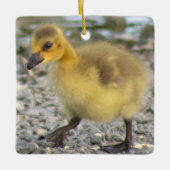 Gosling Foto Ornament (Vorderseite)