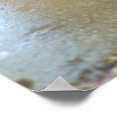 Gosling Foto Poster (Ecke)