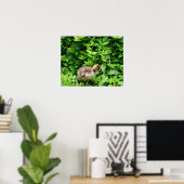 Gosling-Foto-Poster Poster (Heimbüro)