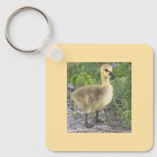 Gosling Foto Schlüsselanhänger (Vorderseite)