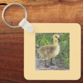 Gosling Foto Schlüsselanhänger (Vorderseite)