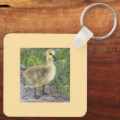Gosling Foto Schlüsselanhänger (Rückseite)