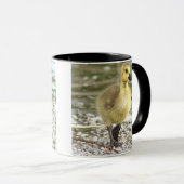 Gosling Foto Tasse (VorderseiteRechts)