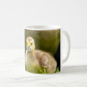 Gosling Kaffeetasse (VorderseiteRechts)