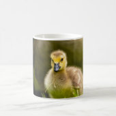 Gosling Kaffeetasse (Mittel)