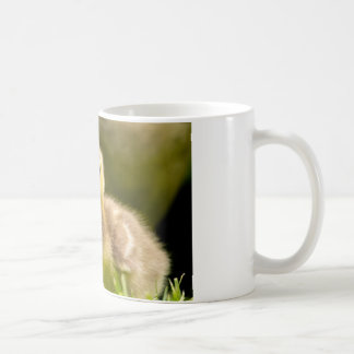 Gosling Kaffeetasse