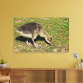 Gosling Leinwanddruck (Insitu (Wohnzimmer))