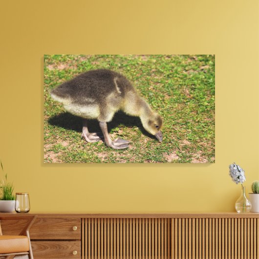 Gosling Leinwanddruck (Insitu (Wohnzimmer))