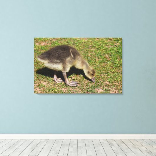 Gosling Leinwanddruck (Insitu (Holzboden))