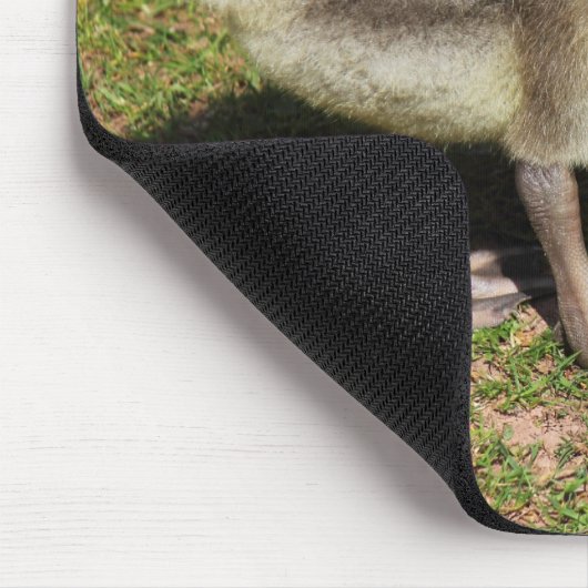 Gosling Mousepad (Ecke)