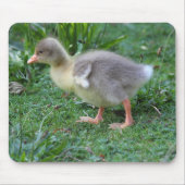 Gosling Mousepad (Vorne)