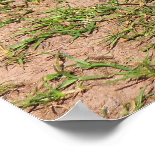 Gosling Poster (Ecke)