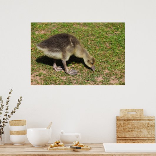 Gosling Poster (Küche)