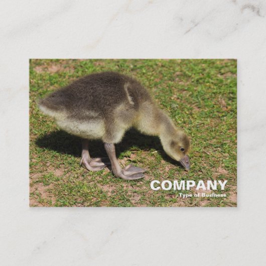 Gosling Visitenkarte (Vorderseite)