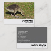 Gosling Visitenkarte (Vorne/Hinten)