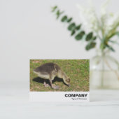 Gosling Visitenkarte (Stehend Vorderseite)