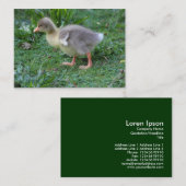 Gosling Visitenkarte (Vorne/Hinten)