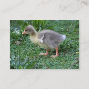 Gosling Visitenkarte
