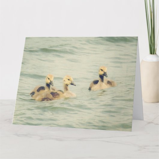 Goslings Baby Geese Big Note Card Karte (Vorderseite)
